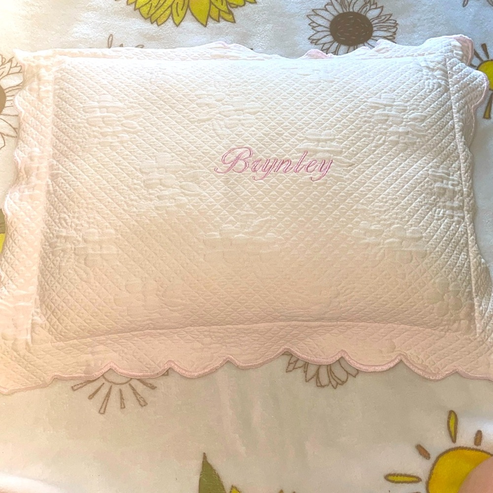 Pottery Barn Kids Light Pink Pillow